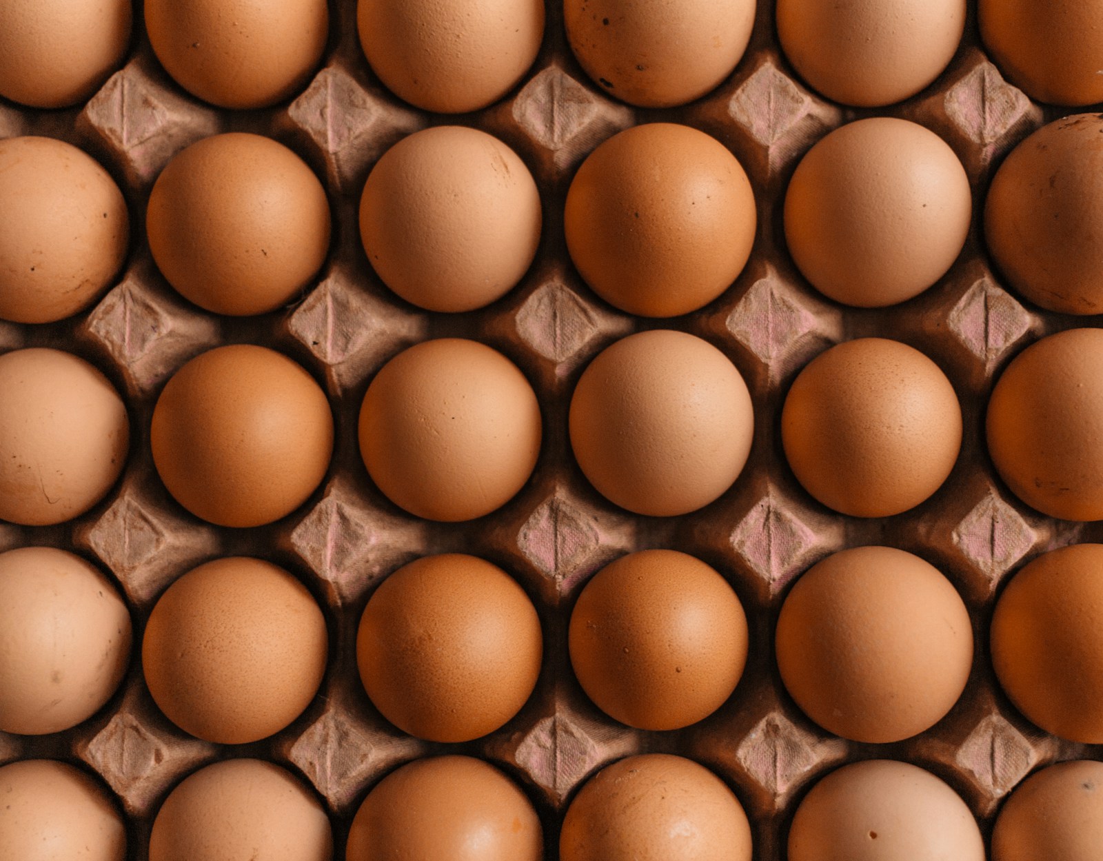 Fresh eggs in trays on a farm